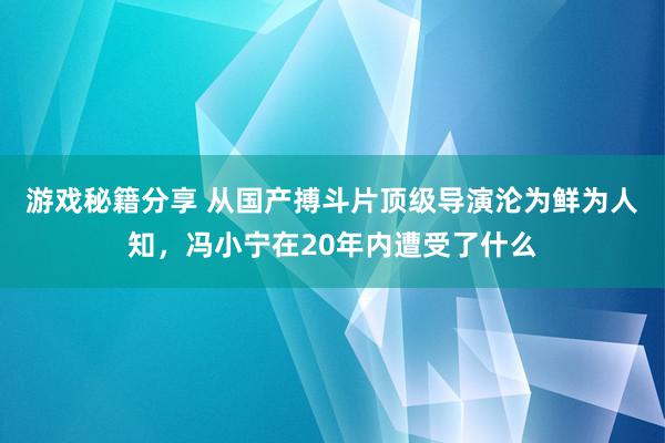 游戏秘籍分享 从国产搏斗片顶级导演沦为鲜为人知，冯小宁在20年内遭受了什么