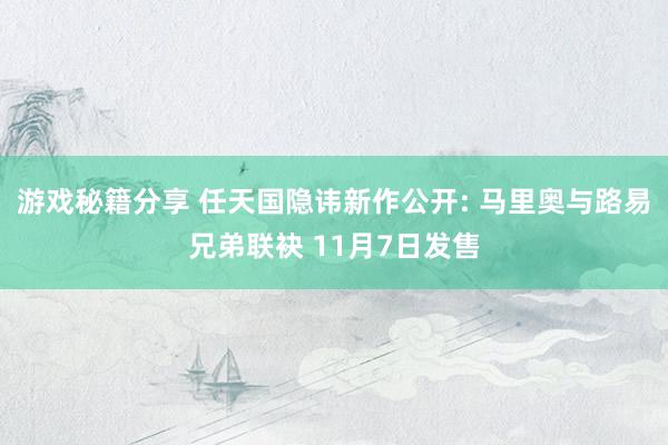 游戏秘籍分享 任天国隐讳新作公开: 马里奥与路易兄弟联袂 11月7日发售