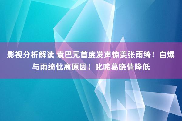 影视分析解读 袁巴元首度发声惊羡张雨绮！自爆与雨绮仳离原因！叱咤葛晓倩降低