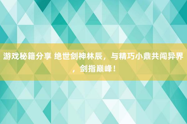 游戏秘籍分享 绝世剑神林辰，与精巧小鼎共闯异界，剑指巅峰！