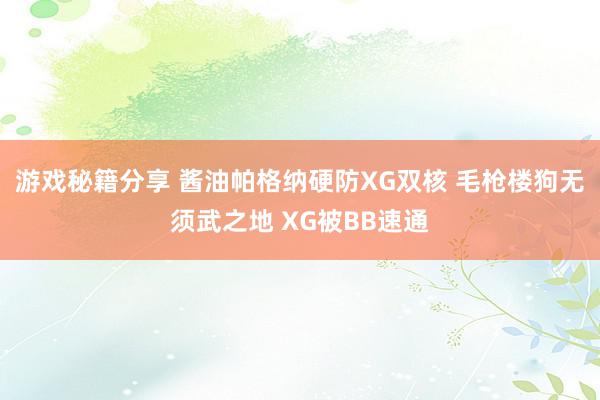 游戏秘籍分享 酱油帕格纳硬防XG双核 毛枪楼狗无须武之地 XG被BB速通