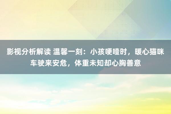 影视分析解读 温馨一刻：小孩哽噎时，暖心猫咪车驶来安危，体重未知却心胸善意