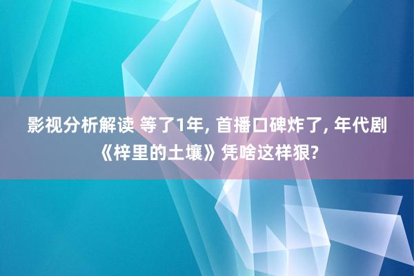 影视分析解读 等了1年, 首播口碑炸了, 年代剧《梓里的土壤》凭啥这样狠?