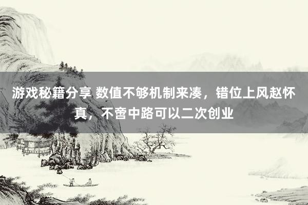 游戏秘籍分享 数值不够机制来凑，错位上风赵怀真，不啻中路可以二次创业