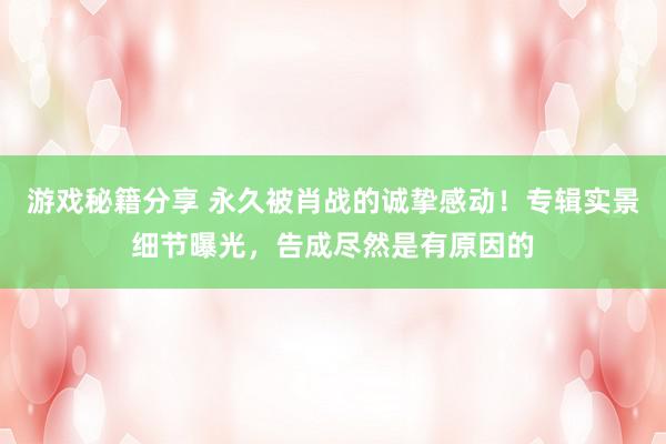 游戏秘籍分享 永久被肖战的诚挚感动！专辑实景细节曝光，告成尽然是有原因的