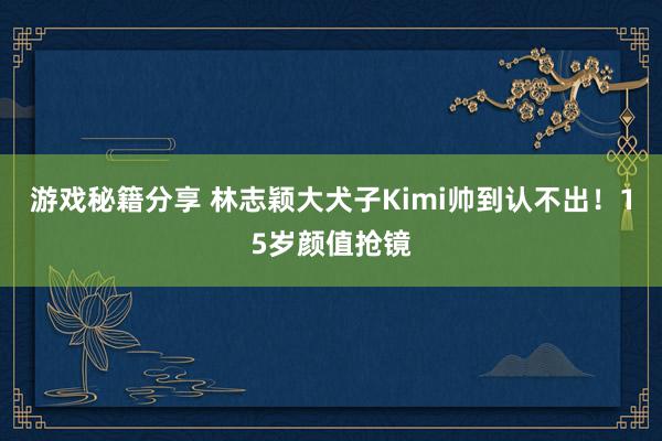 游戏秘籍分享 林志颖大犬子Kimi帅到认不出！15岁颜值抢镜