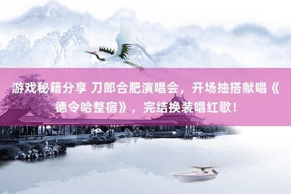 游戏秘籍分享 刀郎合肥演唱会，开场抽搭献唱《德令哈整宿》，完结换装唱红歌！