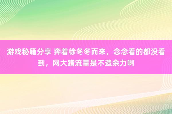 游戏秘籍分享 奔着徐冬冬而来，念念看的都没看到，网大蹭流量是不遗余力啊