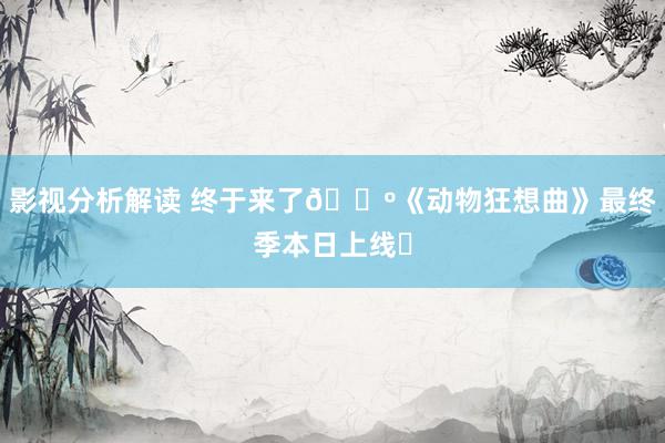 影视分析解读 终于来了🐺《动物狂想曲》最终季本日上线❗