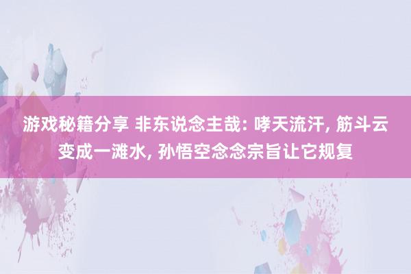 游戏秘籍分享 非东说念主哉: 哮天流汗, 筋斗云变成一滩水, 孙悟空念念宗旨让它规复