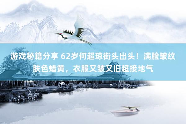 游戏秘籍分享 62岁何超琼街头出头！满脸皱纹肤色蜡黄，衣服又皱又旧超接地气