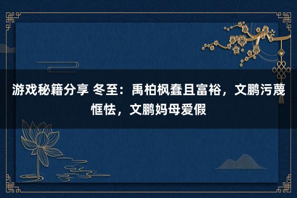 游戏秘籍分享 冬至：禹柏枫蠢且富裕，文鹏污蔑恇怯，文鹏妈母爱假