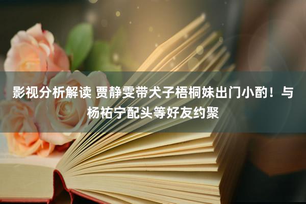 影视分析解读 贾静雯带犬子梧桐妹出门小酌！与杨祐宁配头等好友约聚