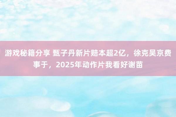 游戏秘籍分享 甄子丹新片赔本超2亿，徐克吴京费事于，2025年动作片我看好谢苗