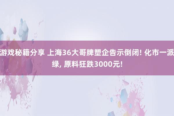 游戏秘籍分享 上海36大哥牌塑企告示倒闭! 化市一派绿, 原料狂跌3000元!