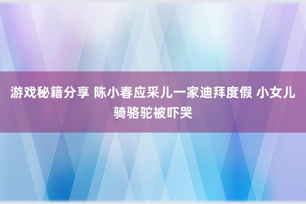 游戏秘籍分享 陈小春应采儿一家迪拜度假 小女儿骑骆驼被吓哭