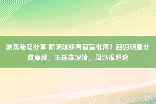 游戏秘籍分享 陈晓陈妍希官宣仳离！回归明星分歧案牍，王栎鑫深情，周迅很超逸