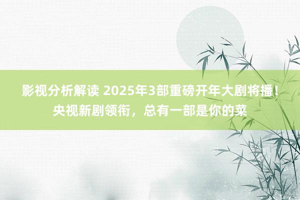 影视分析解读 2025年3部重磅开年大剧将播！央视新剧领衔，总有一部是你的菜