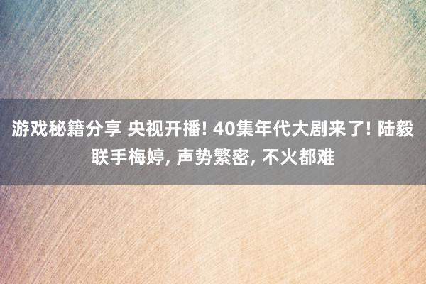 游戏秘籍分享 央视开播! 40集年代大剧来了! 陆毅联手梅婷, 声势繁密, 不火都难