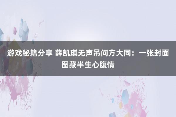 游戏秘籍分享 薛凯琪无声吊问方大同：一张封面图藏半生心腹情