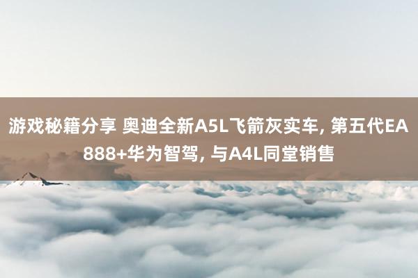 游戏秘籍分享 奥迪全新A5L飞箭灰实车, 第五代EA888+华为智驾, 与A4L同堂销售